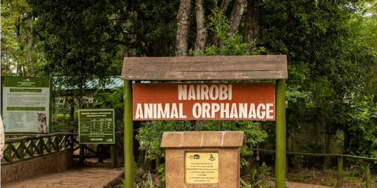 Nairobi Animal Orphanage Entrance. Photo/Kws