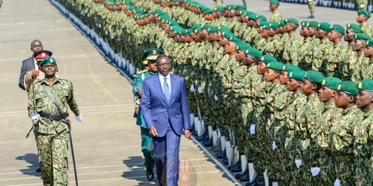 Nys Shortlists 390 Applicants For Ksh6.5 Million Jobs In Australia