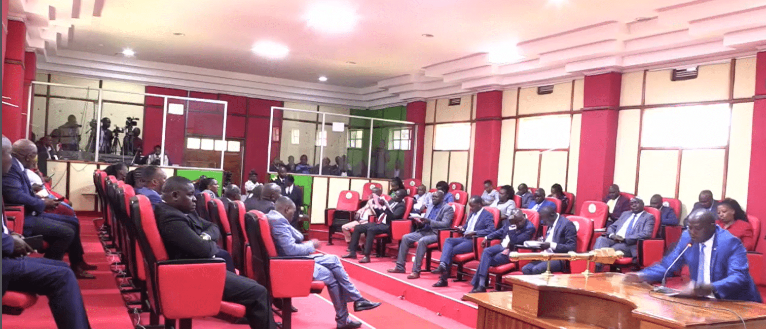 Kericho Members Of Country Assembly. Photo/ Screen Grab