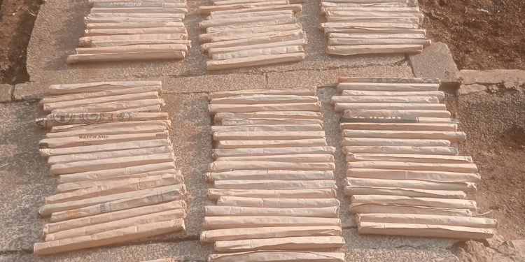 245 Long Rolls Of Cannabis Sativa, Weighing 17.5 Kilograms. Photo/ Dci