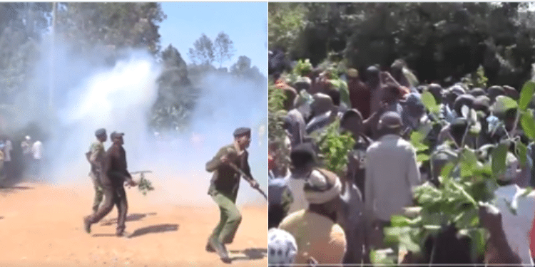 Police Teargas To Protesting Kangunu Coffee Farmers