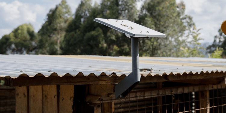 Starlink Introduces Cheaper Standard Mini Kit In Kenya