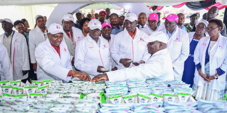 Kcc Declares Md Position Vacant After Ruto’s Board Dismissal.