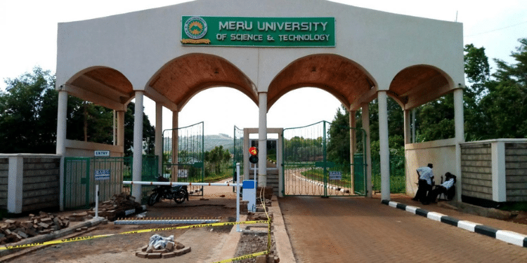 Meru University Of Science And Technology Gate. Photo/Pdfeducation.com