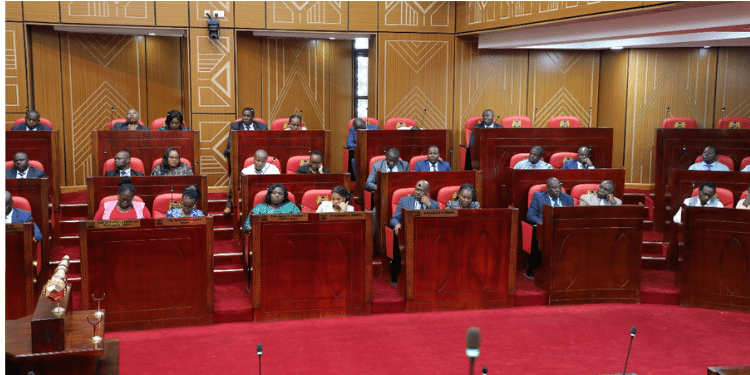  A Mystery Company Won Multimillion Tender In Nakuru &Amp; Did Not Deliver