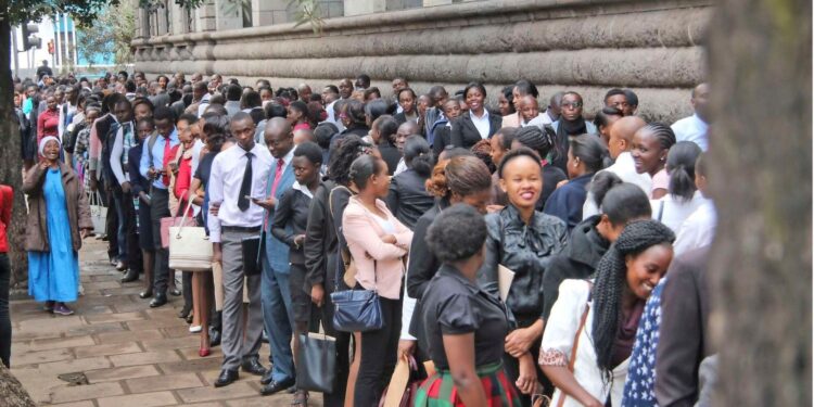 Psc Announces 290 Job Vacancies In Ministry Of Ict