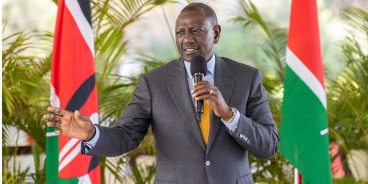 High Court Suspends Ruto'S Directive To Punish 35 Ceos President William Ruto. President William Ruto. President William Ruto. President William Ruto. President William Ruto.