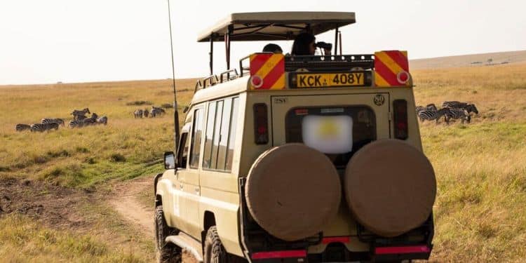 Safari Truck 
