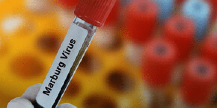 Govt Issues Another Advisory On Marburg Outbreak Marburg Alert: Kenya Issues Advisory After Rwanda Outbreak