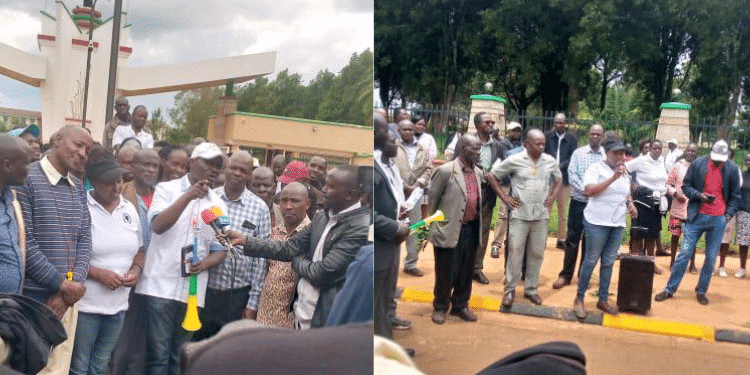 Moi University Clarifies Re-Opening And Resumption Of Learning A Collage Photo Of Moi University Lecturers And Other Staff Striking. Photo/Ugc