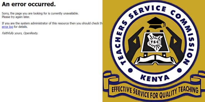 Tsc Issues Statement On Application Of 46,000 Jobs