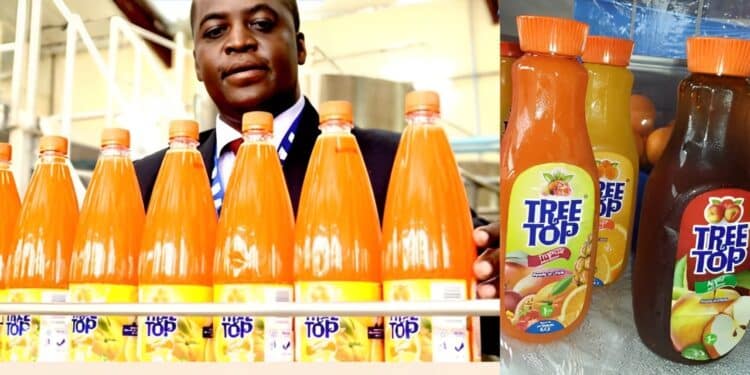 Tree Top Shuts Down Years After Founder Quit Ksh1 Million A Month Job Tree Top