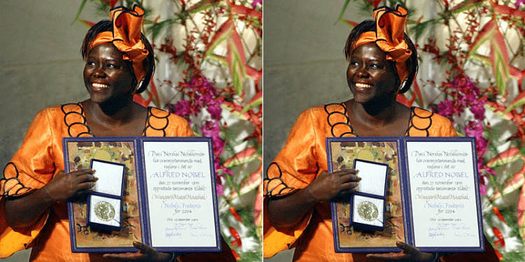 Wangari Maathai. Photo/ Treefolks