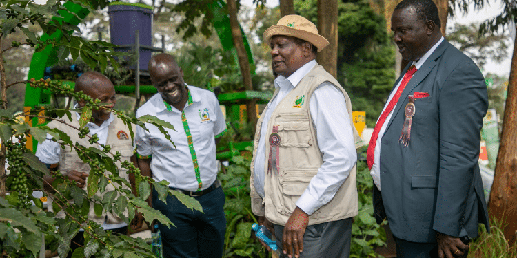 Afa Board Members, During The Nairobi International Trade Fair, Promoting Climate-Smart Agriculture And Trade Initiatives For Sustainable Economic Growth. Photo/Afa
