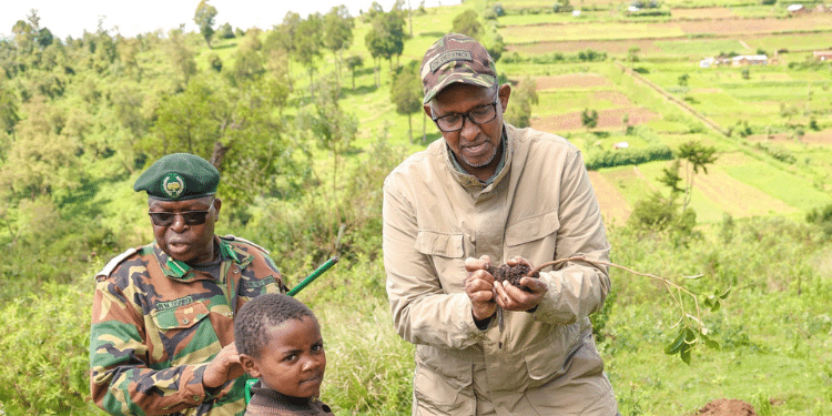 Cs Aden Duale During The Mazingira Day Tree Planting Exercise. Photo/Duale X