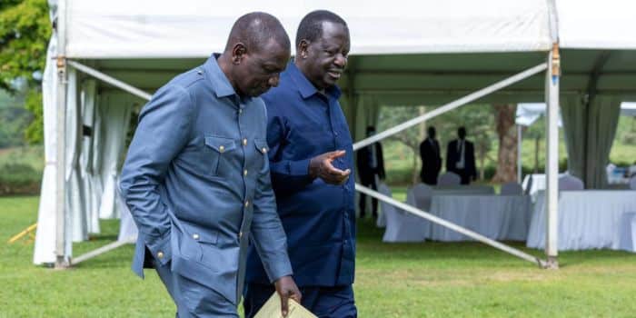 President William Ruto And Azimio Leader Raila Odinga. Photo/Pcs