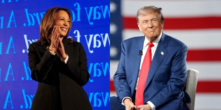 Trump And Kamala Harris