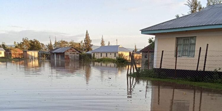 Photo Of River Nyando Burst Its Banks After Heavy Rains. Photo/ Kenya Red Cross Kenya Met