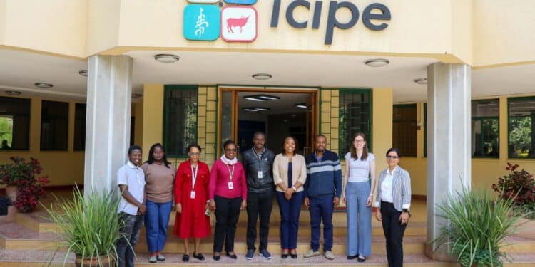 Plastic-Eating Insect Discovered In Kenya A Team From Modelling In The Infectious Diseases Strategic Programme At Wellcome And Kemri At Icipe Headquarters. Photo: Icipe