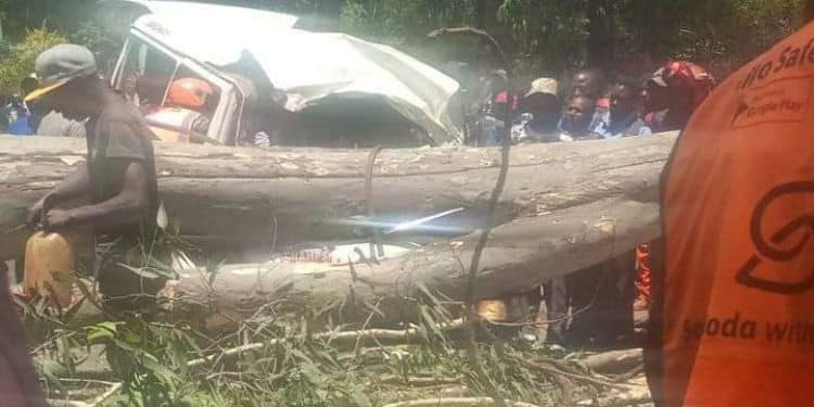 Heavy Traffic As Trees Fall On Vehicles Along Limuru Road Fallen Trees On Top Of A Matatu Along Limuru Road.