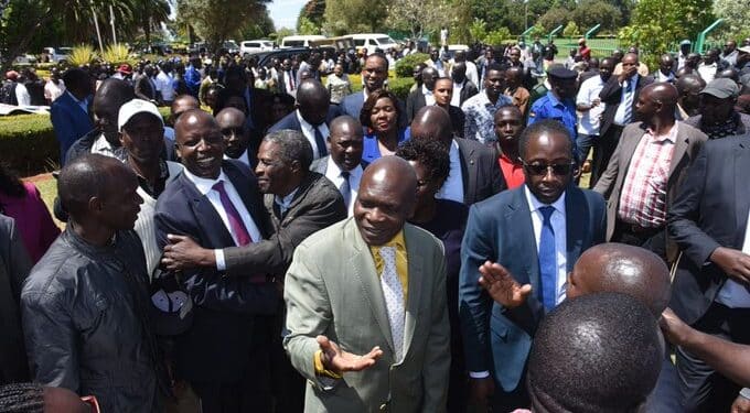 Moi University Announces Public Auction Of Donkeys &Amp; Dogs 