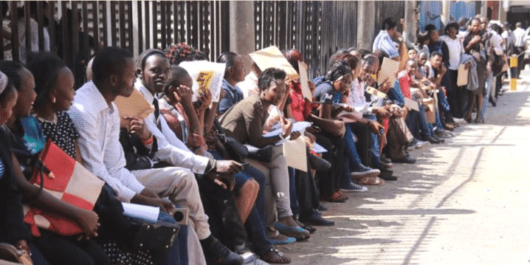 Nyandarua County Govt Announces 113 Vacancies: How To Apply Nyandarua County Govt Announces 113 Vacancies: How To Apply