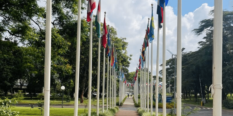 Larry Asego Lands New Job At United Nations