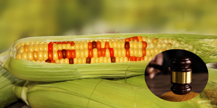 Importation Of Gmos: Court Dismisses Petitions