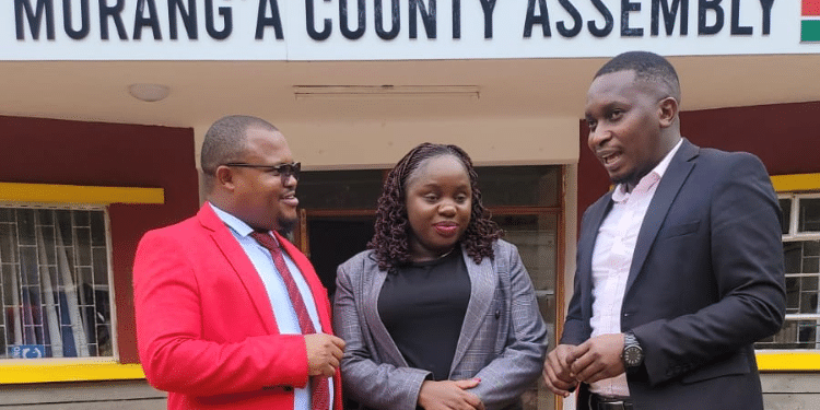 Mark Wainaina: Murang'A Mca Dies After Sickness