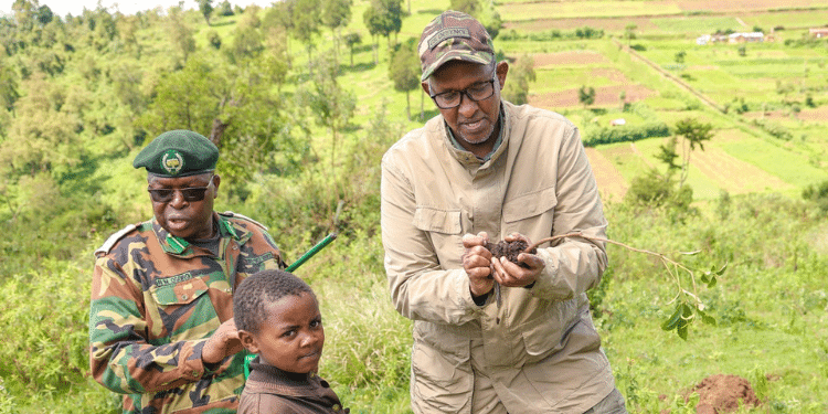 Duale Clarifies Logging Reports Amid Public Uproar