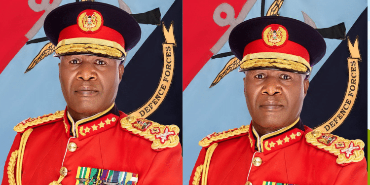 Ex-Cdf Kibochi, Mediheal Owner &Amp; Nicholas Gumbo Land Govt Jobs Ruto Rewards Ex-Mps And Former Cdf State Appointments