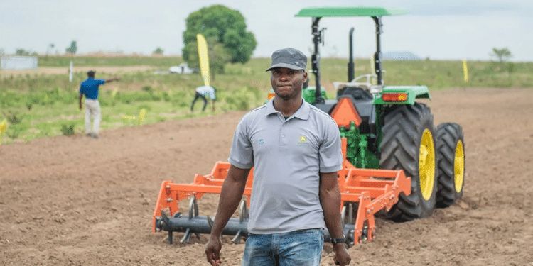 Farming Business Struggles: Kenyans Open Up On Challenges