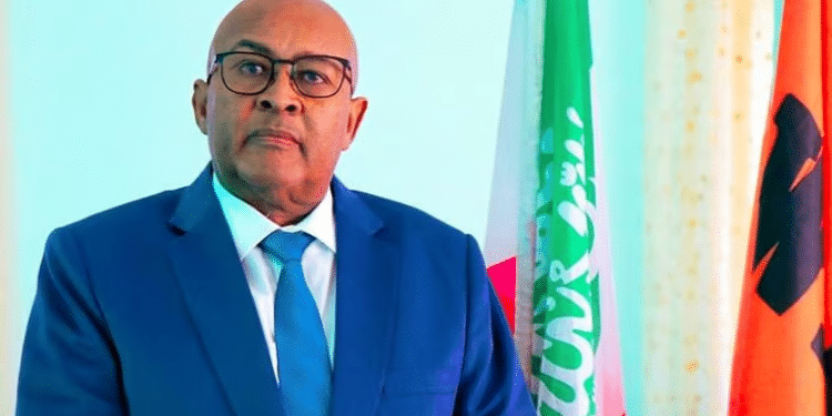 Somalia President Abdirahman Mohamed Abdullahi. Photo: Wadani X