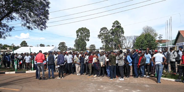 Cs Mutua Reveals That Kenyans Abroad Don'T Want To Return Home
