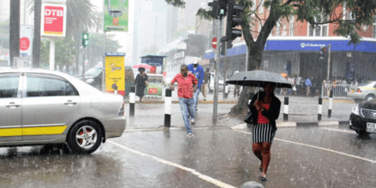 Kenya Met Issues Five-Day Forecast After Friday Rains Kenya Met Issues Five-Day Forecast After Friday Rains Kenya Met Issues Five-Day Forecast After Friday Rains