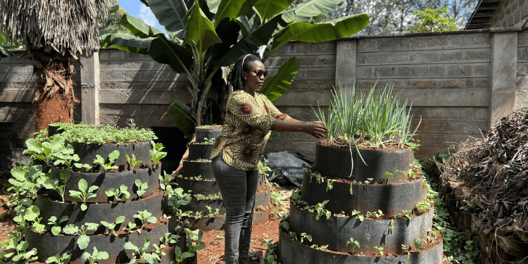 Martha Karua Reveals How She Got Her First Job Narc Kenya Party Leader, Martha Karua. Photo/Martha X