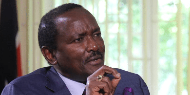 Kalonzo Accuses Ruto And Wetangula Iebc Reconstitution Delay