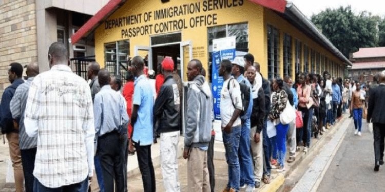 How To Apply For A Kenyan Passport: A Step-By-Step Guide How To Apply For A Kenyan Passport: A Step-By-Step Guide