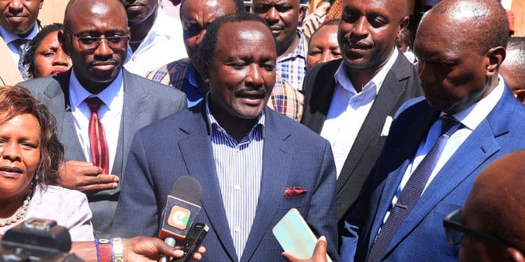 Wiper Leader Kalonzo Musyoka. 