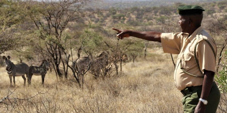 Netflix, Meta Project Worth Tens Of Millions In Kenya Suspended Stephen Lenantoiye Leads.