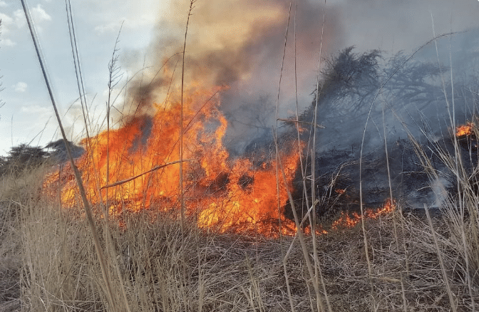 Kws Issues Warning After Fire Incident At Lake Nakuru National Park