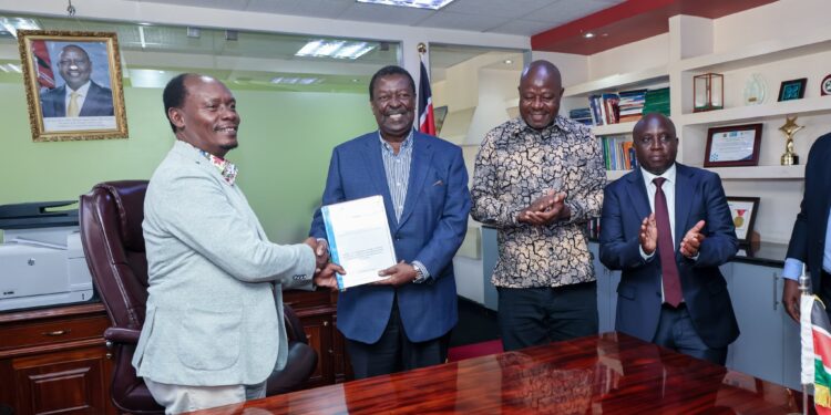 Mudavadi Defends Ties With Netherlands Ahead Of Royal Visit