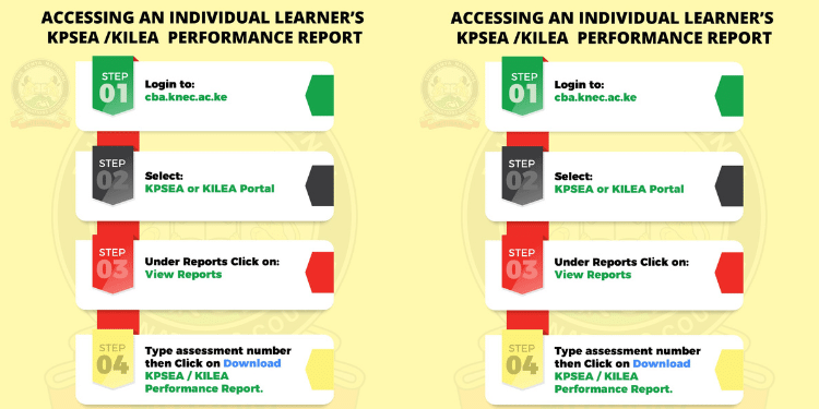 Process Of Accessing 2024 Kpsea Results. Photo/Knec.
