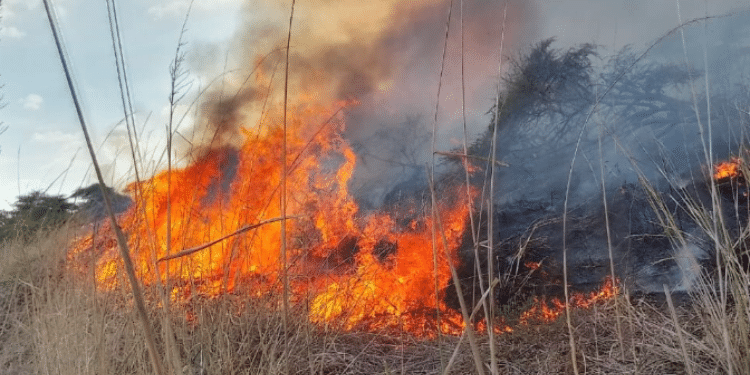 Isiolo Wildfire Ravages 300,000 Acres Of Grasslands