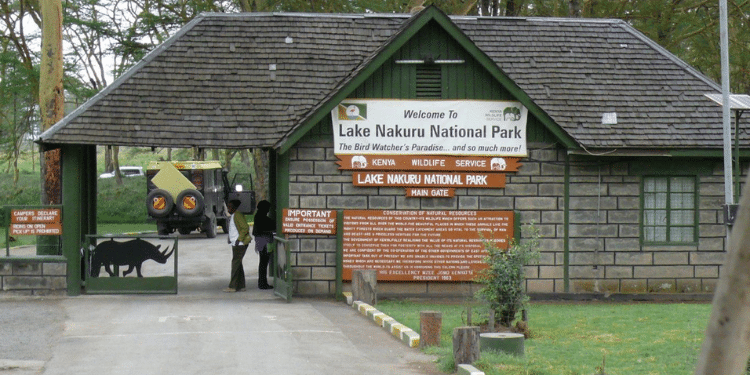 Kws Officers Blamed For Brian Odhiambo'S Disappearance