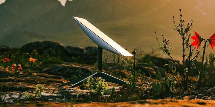 Starlink Uptake In Kenya Slows After Doubling Market Share