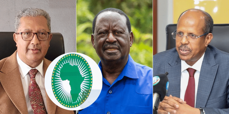 Auc Chairperson Elections Live Updates February 15 &Amp; 16