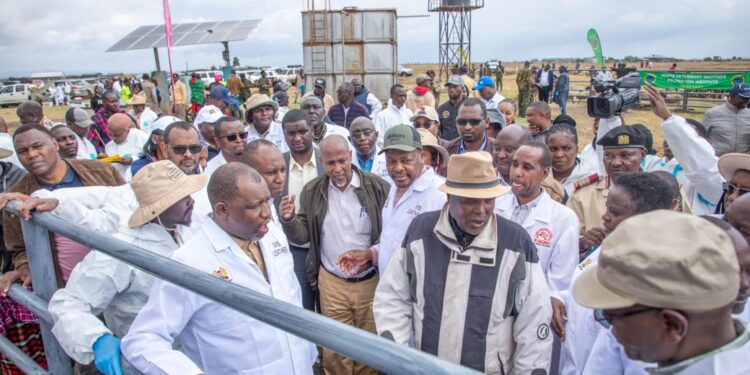 Agriculture Cs Mutahi Kagwe During The Vaccination Of Cows At Kisargegei Livestock Holding Ground In Laikipia County /Kna
