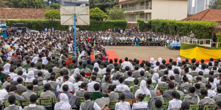 Why Few Women Pursue Science Careers And How To Fix The Gap