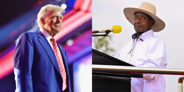U.s President Donald Trump And Yoweri Museveni Of Uganda. Photo/ Trump Facebook/ Museveni X.